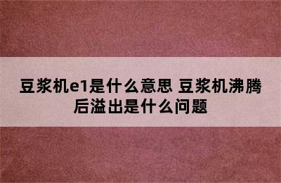 豆浆机e1是什么意思 豆浆机沸腾后溢出是什么问题